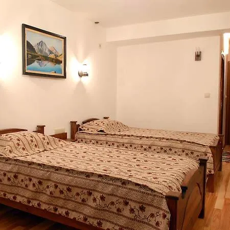 Hotel Pirinski - Old Adjev 3*